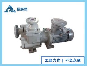 ZMD自吸式磁力泵
